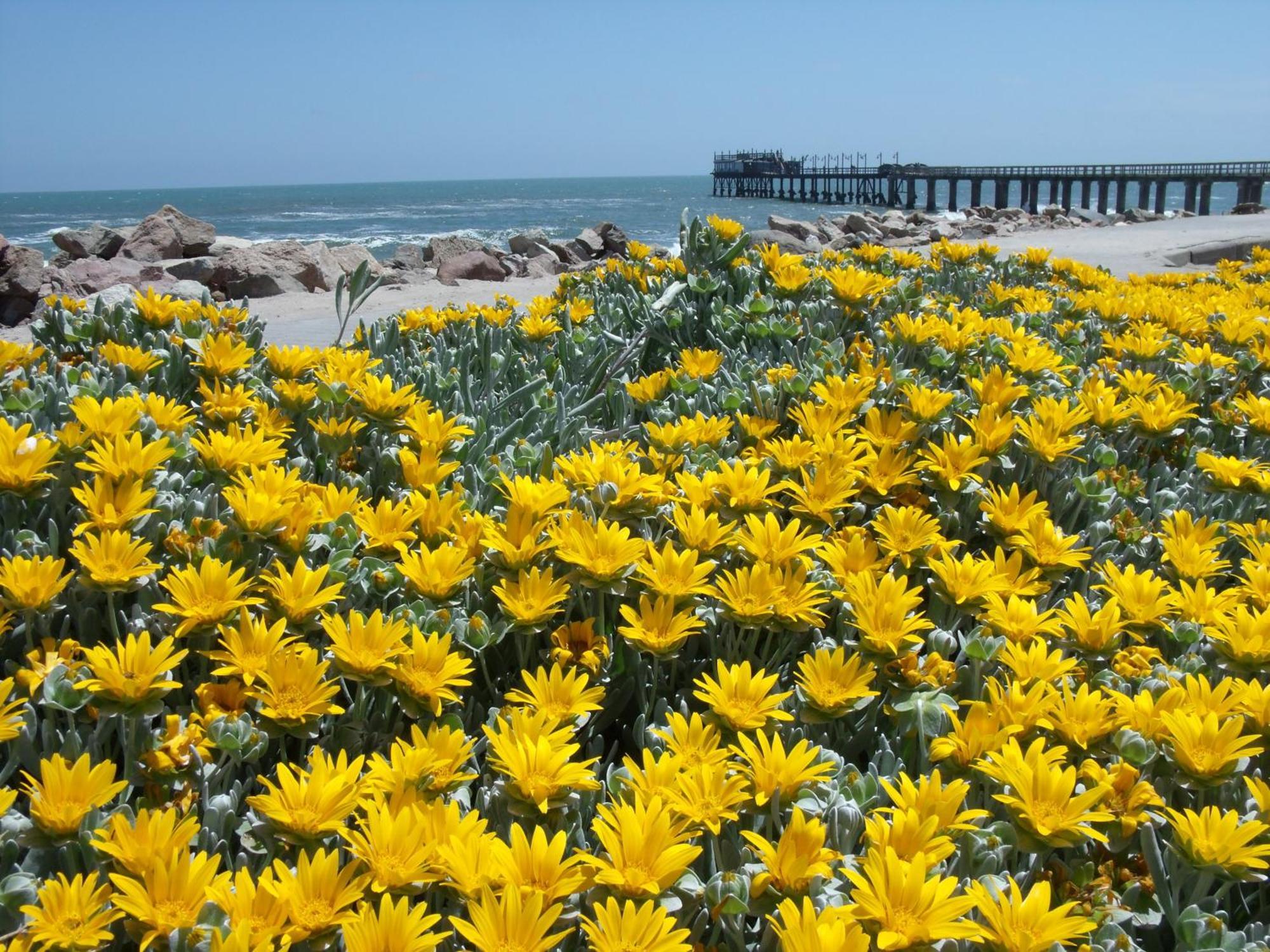Chala-Kigi Apartments Swakopmund Exteriér fotografie